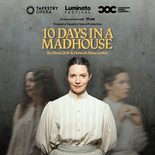 10 Days in a Madhouse poster